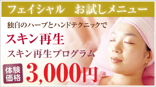 フェイシャル  お試しメニュー