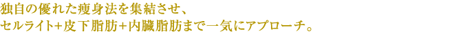 独自の優れた痩身法を集結させ、セルライト＋皮下脂肪＋内臓脂肪まで一気にアプローチ。