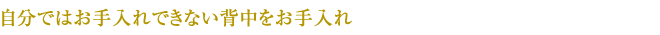 自分ではお手入れできない背中をお手入れ