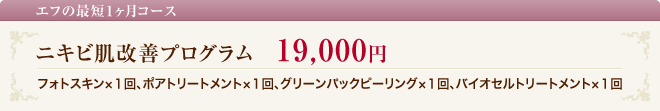 ニキビ・ニキビ跡撃退コース