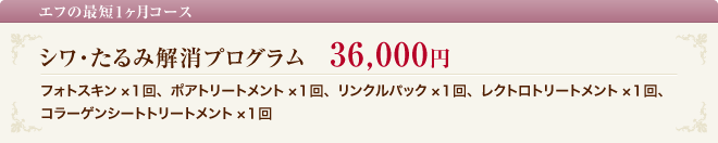 シワ・たるみ解消プログラムコース