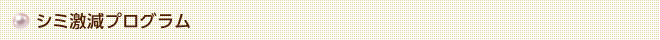 シミ撃退プログラム