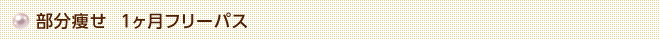 部分痩せ1ヶ月フリーパス