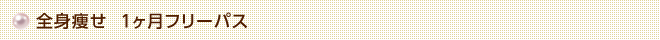 全身痩せ1ヶ月フリーパス