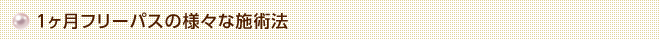 1ヶ月フリーパスの様々な施術法