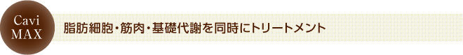 脂肪細胞・筋肉・基礎代謝を同時にトリートメント